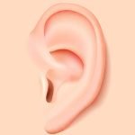 Auditory Nerve Implant Next Big Hearing Loss Breakthrough?